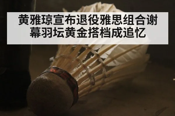 黄雅琼宣布退役雅思组合谢幕羽坛黄金搭档成追忆