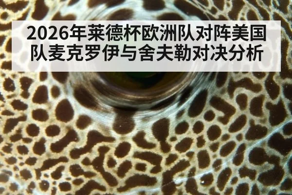2026年莱德杯欧洲队对阵美国队麦克罗伊与舍夫勒对决分析